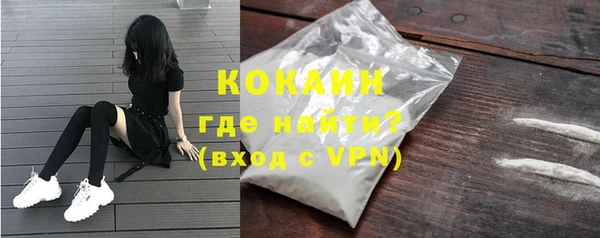 ECSTASY Богданович
