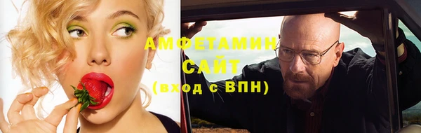 ECSTASY Богданович