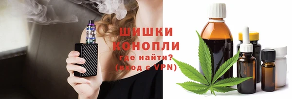 ECSTASY Богданович