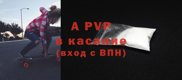ECSTASY Богданович